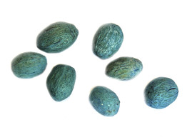 AMRO PODS TURQUOISE 100gr