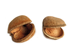 BOEDHA NUTS NATUREL - 2pc