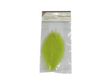 FEUILLES SKELET 5  LIME 15pc