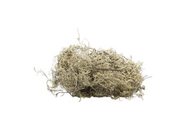 TILLANDSIA 150gr