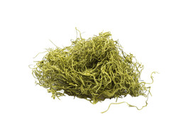 TILLANDSIA 1kg