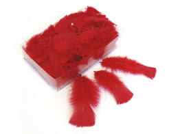 FLATS 8gr    /- 60st