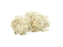 CURLY MOSS 200gr BLANCHI