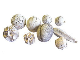 SOLA BALL MIX avec mahogini BLANC ANTIQUE - 7pc
