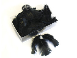 FLATS 60gr