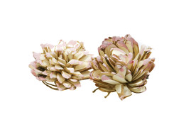 SOLA DALIA ROSE 2pcs - BORDURE ROSE