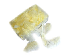 FLATS 1kg