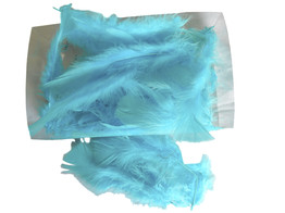 FLATS 1kg