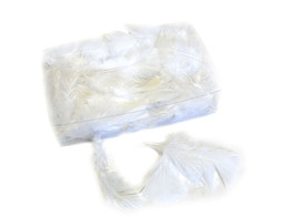 FLATS 1kg