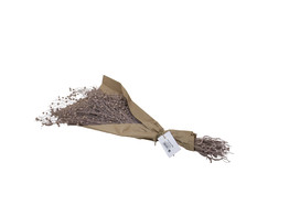 LINO GRASS 80gr