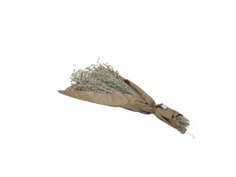 LINO GRASS 80gr