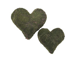 COEUR MOUSSE VERTE