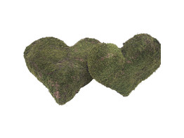 COEUR MOUSSE VERTE