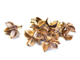 COTTON POD NATUREL 60gr