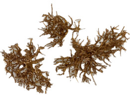 DRY TREE 5pcs/bag CUIVRE