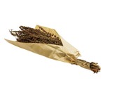 PALAK GRASS 80-100gr NATUREL