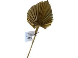 KING PALM SPEAR