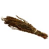 PALAK GRASS 80-100gr NATUREL