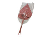 KING PALM SPEAR 65-75cm 3pcs FRAMBOISE