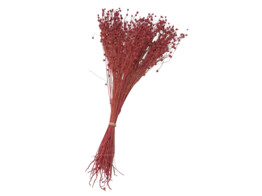LINO GRASS 80gr
