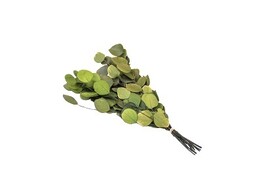 EUCALYPTUS POPULUS VERT 80gr