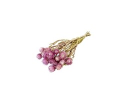 FLEURS SECHEES 25gr