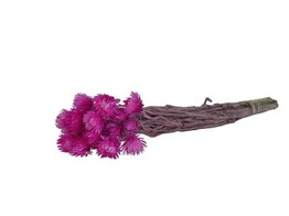 FLEURS SECHEES 25gr