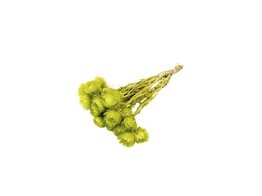 FLEURS SECHEES 25gr
