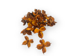 COTTON POD 150gr ORANGE