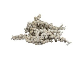 CANNELLA BIG BLANC ANTIQUE