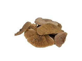 SPONGE MUSHROOM 50gr