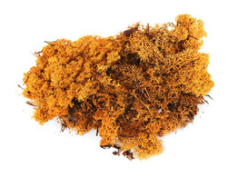 IJSLANDSMOS 150gr