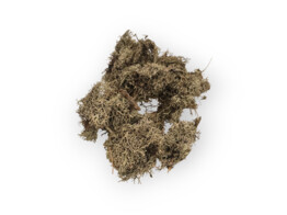 MOUSSE GRIS 2kg