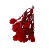 FLEURS SECHEES 25gr ROUGE