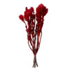 FLEURS SECHEES 25gr ROUGE