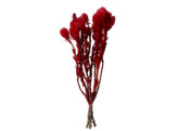 FLEURS SECHEES 25gr ROUGE