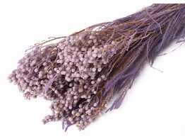 LANUGINOSA lila 45-50cm  -50gr