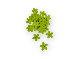 HOUTEN BLOEM groen 5 0 2cm -20pcs/net