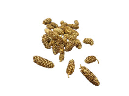 PINE CONES mini 80gr OR
