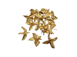 COTTON POD 60gr  OR