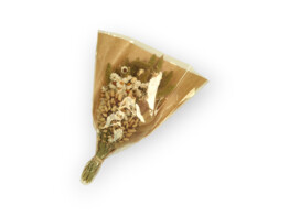 BOUQUET  50gr-28cm naturel vert